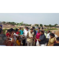 Tree Plantation 2015